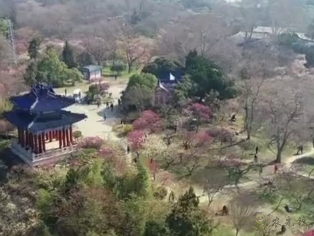 樊祥成:新冠肺炎疫情給農(nóng)業(yè)農(nóng)村發(fā)展帶來的困難只是暫時的