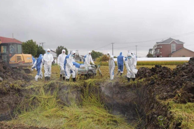 樊祥成:新冠肺炎疫情給農(nóng)業(yè)農(nóng)村發(fā)展帶來的困難只是暫時的