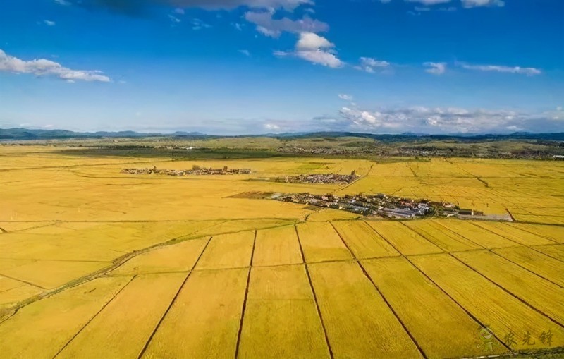 農(nóng)業(yè)模式