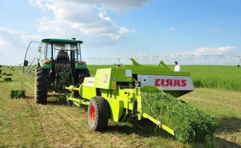 美國(guó)農(nóng)業(yè)