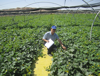 世界農(nóng)業(yè)焦點(diǎn)國家的農(nóng)業(yè)模式