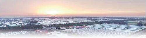 ?鄉村振興,壽光答卷