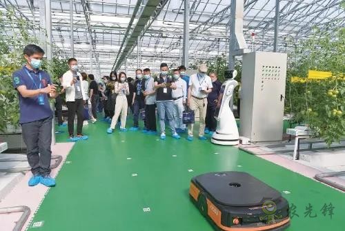 ?鄉村振興,壽光答卷