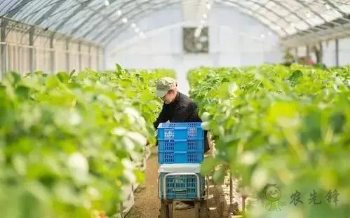 【重磅研究】中國數(shù)字農(nóng)業(yè)的發(fā)展概況