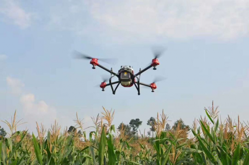 夏季暴雨對農(nóng)業(yè)生產(chǎn)的影響及減災措施