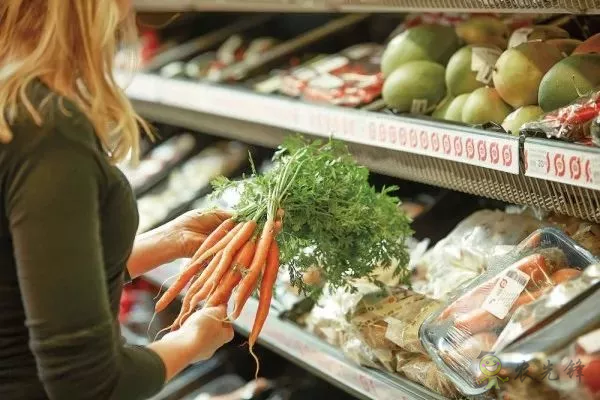 有機農業的全球典范:丹麥經驗