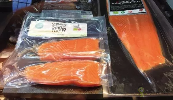 有機農業的全球典范:丹麥經驗