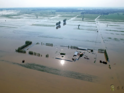1450萬畝農(nóng)作物受災(zāi)!550萬畝絕收!對我國糧食市場影響有多大?