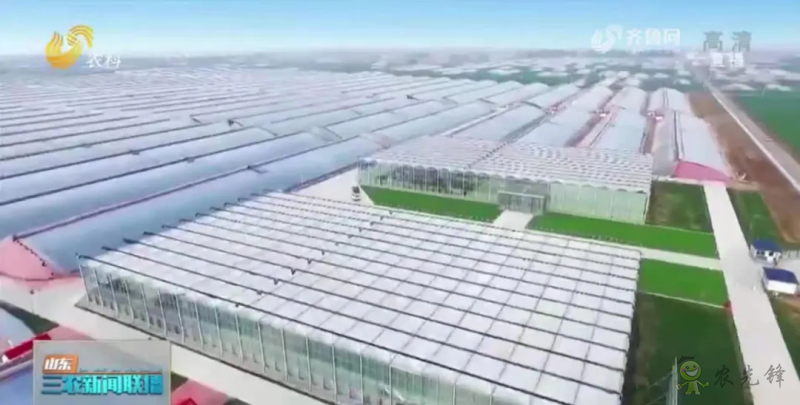 “壽光標(biāo)準(zhǔn)”向全國輸出 推動蔬菜產(chǎn)業(yè)提檔升級