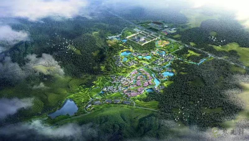 無錫市濱湖區(qū):統籌謀劃 精準發(fā)力 加快推進農業(yè)農村重大項目建設