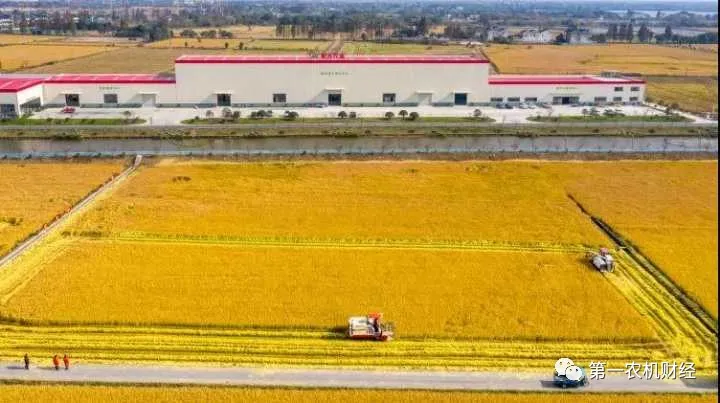 農業農村部:機收減損要常抓不懈