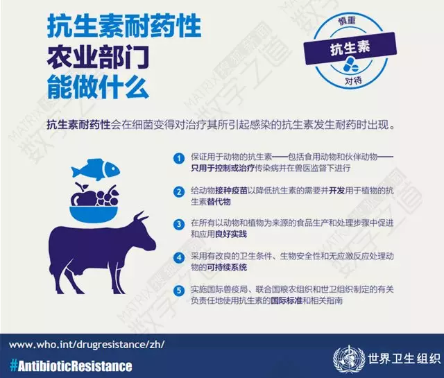 “抗生素肉”擺滿中國人餐桌，豬肉含量居然是牛肉的5倍!