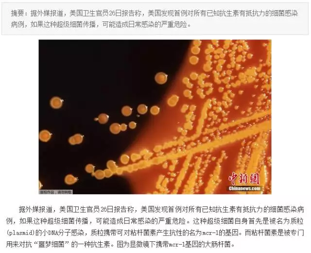 “抗生素肉”擺滿中國人餐桌，豬肉含量居然是牛肉的5倍!