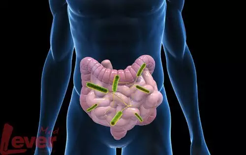 “抗生素肉”擺滿中國人餐桌，豬肉含量居然是牛肉的5倍!