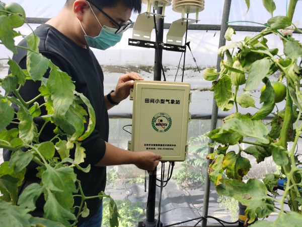 塑料大棚“智能化”,北京開(kāi)展高效設(shè)施農(nóng)業(yè)用地試點(diǎn)