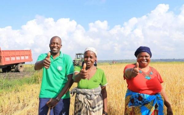 “中國農技”“中國農機”“中國農場”助力非洲農業(yè)發(fā)展