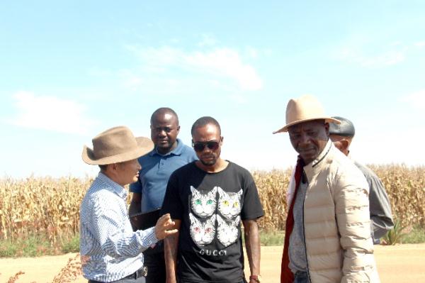 “中國農技”“中國農機”“中國農場”助力非洲農業(yè)發(fā)展