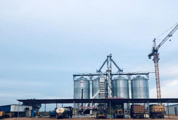 “中國農技”“中國農機”“中國農場”助力非洲農業(yè)發(fā)展