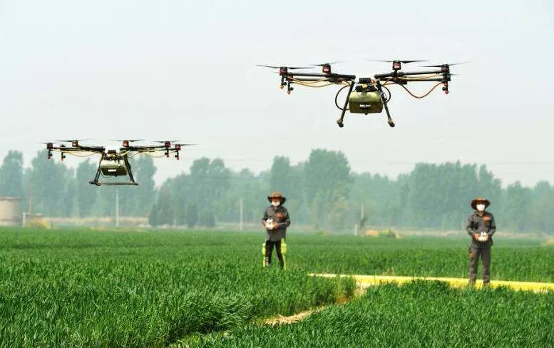 中國(guó)農(nóng)業(yè)的智慧升級(jí)路:未來(lái)小農(nóng)戶將成高收入群體