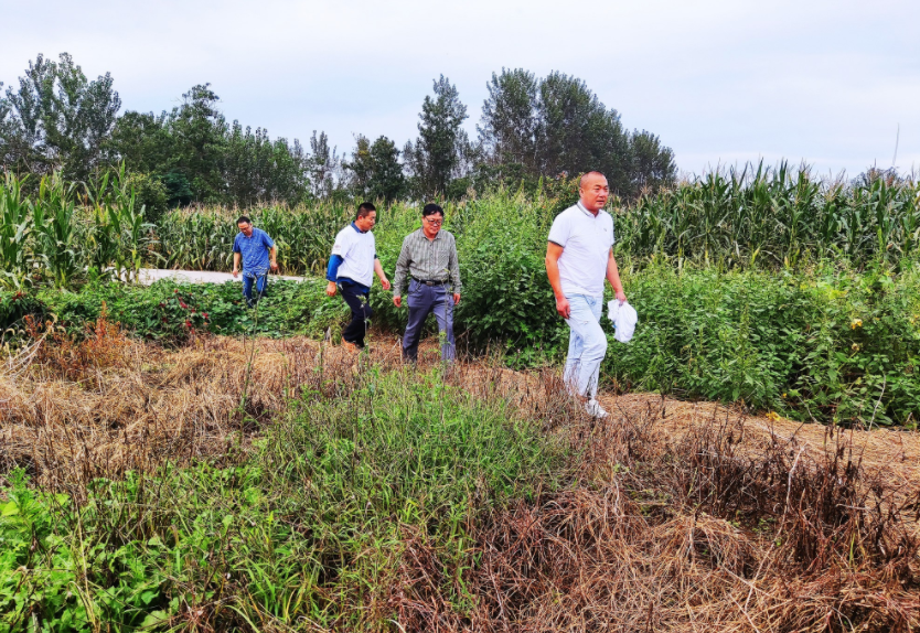 國家加大農業獎補力度,對農民種糧是個好消息,2022年該如何調整