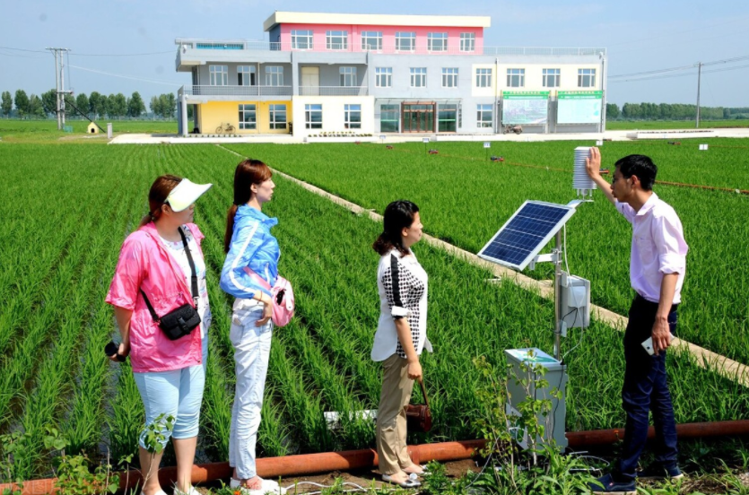 智慧農(nóng)業(yè)未來:物聯(lián)網(wǎng)+農(nóng)業(yè):連接性如何改變農(nóng)業(yè)