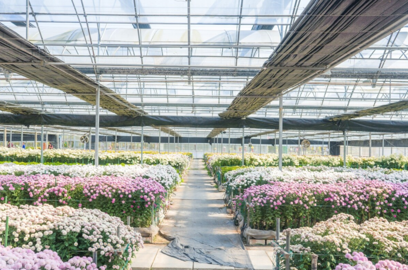 智慧農(nóng)業(yè)未來:物聯(lián)網(wǎng)+農(nóng)業(yè):連接性如何改變農(nóng)業(yè)