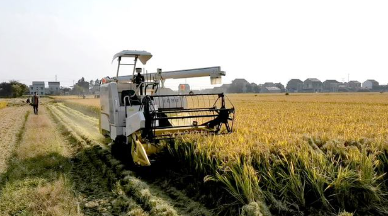 豐疆智能：加速落地“無人農(nóng)場”，賦能鄉(xiāng)村振興！