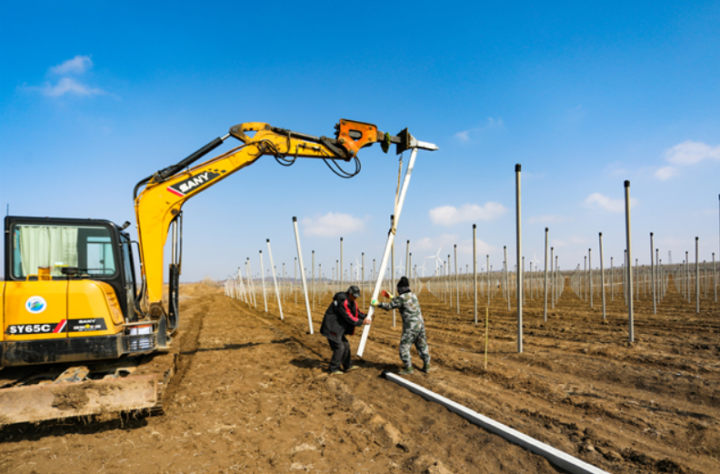 臨港區:智慧農業不簡單,“玩手機”就能種好地