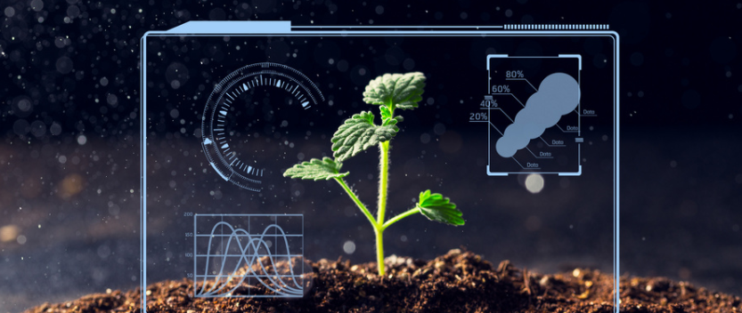 農業物聯網的作用？農業物聯網都應用在哪？