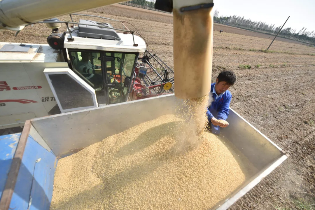 張合成:建立農業科技優先發展的政策體系