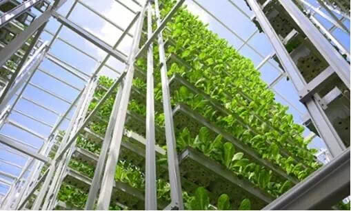 什么是垂直農(nóng)場(chǎng)？垂直農(nóng)場(chǎng)的盈利前景與經(jīng)典案例