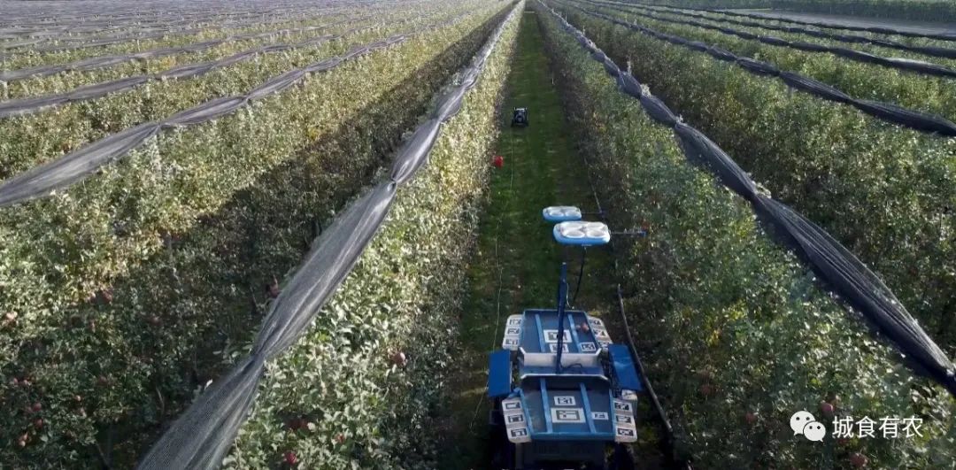 會摘蘋果的飛行機器人,從概念圖到商業化Tevel只用了4年