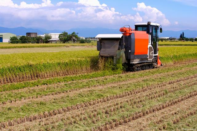 溫鐵軍：中國農業4.0時代，家庭農場、小農戶仍然是發展的趨勢