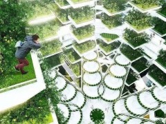 資本青睞的“垂直農業”,能代表農業的未來嗎?