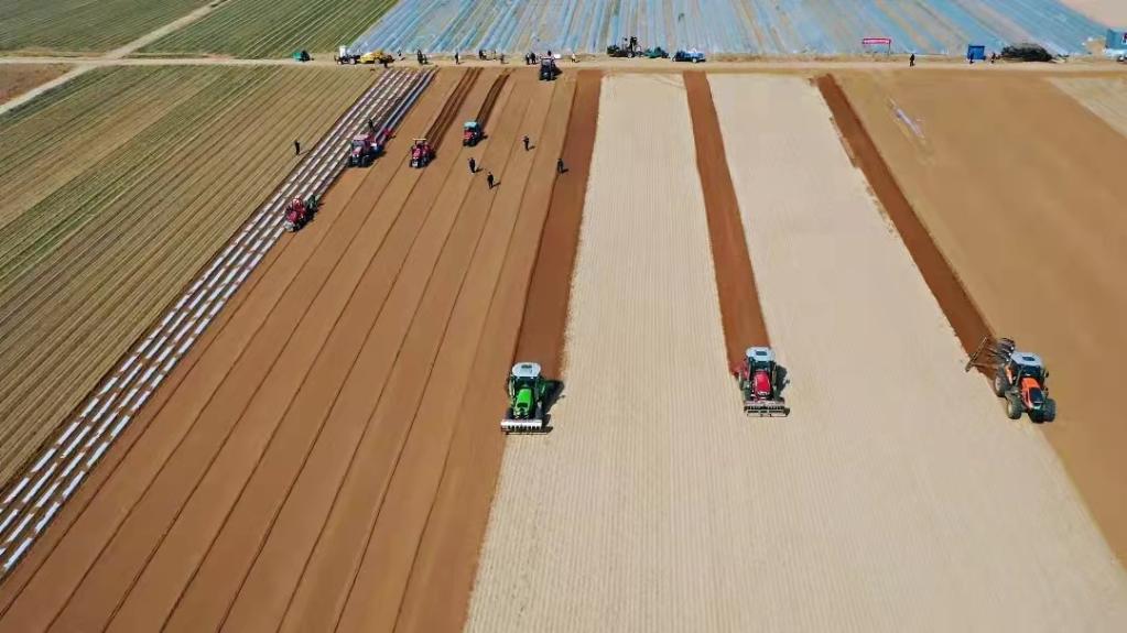 高標準農田備春耕一線觀察:藏糧于地“高標準” 提擋升級“解愁盼” 高標準農田備春耕一線觀察:藏糧于地“高標準” 提擋升級“解愁盼”