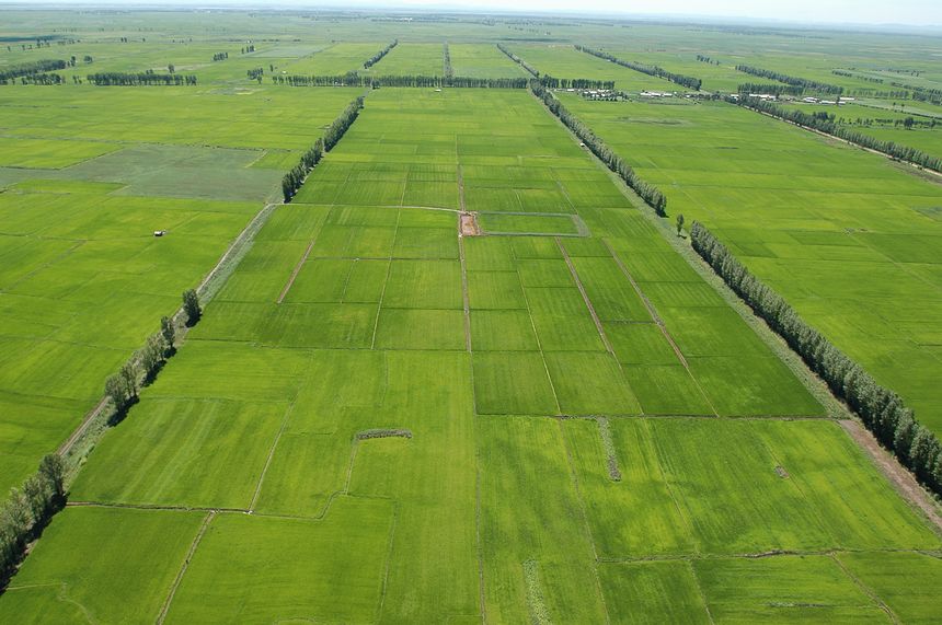 精準(zhǔn)農(nóng)業(yè)的“東北探索” 精準(zhǔn)農(nóng)業(yè)的“東北探索”