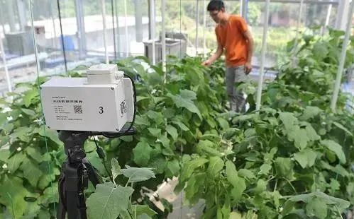 【農業模式】農產品銷售創新點在哪里？十種新模式助力未來農業