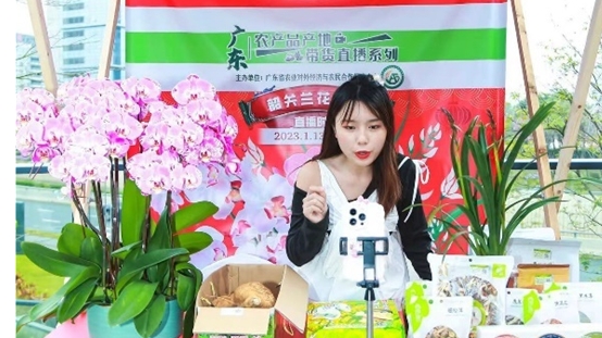 廣東農產品產地直播帶貨成效顯著 廣東農產品產地直播帶貨成效顯著