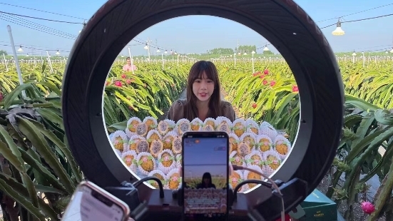 廣東農產品產地直播帶貨成效顯著 廣東農產品產地直播帶貨成效顯著