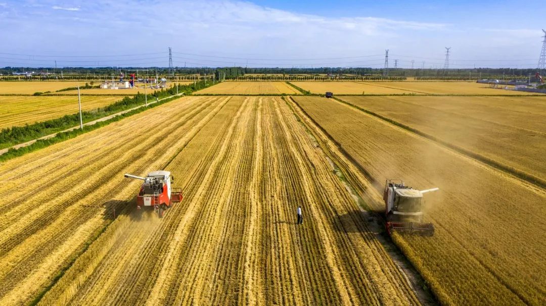 中國農學會發布“36條農業農村重大科學命題” 中國農學會發布“36條農業農村重大科學命題”