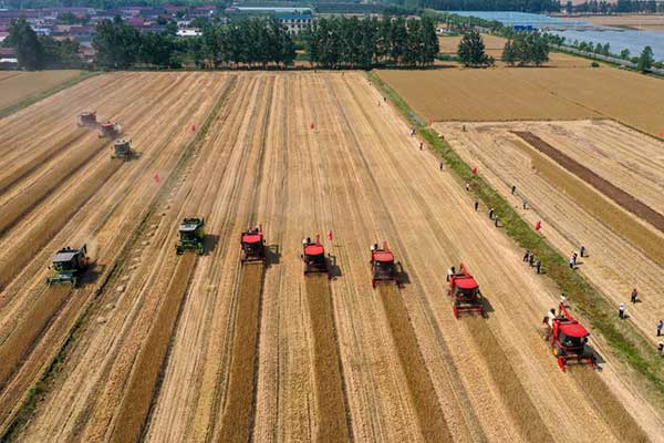 耕好“無形糧田”——從夏糧主產區看“全鏈條節糧減損”路徑 耕好“無形糧田”——從夏糧主產區看“全鏈條節糧減損”路徑