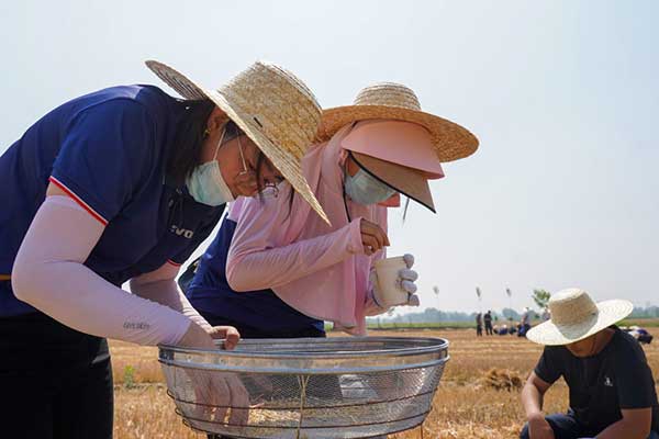 耕好“無形糧田”——從夏糧主產區看“全鏈條節糧減損”路徑 耕好“無形糧田”——從夏糧主產區看“全鏈條節糧減損”路徑