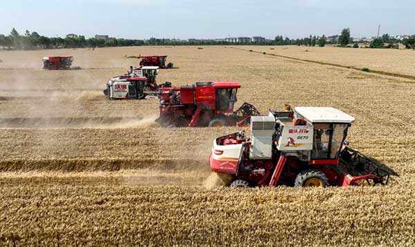 耕好“無形糧田”——從夏糧主產區看“全鏈條節糧減損”路徑 耕好“無形糧田”——從夏糧主產區看“全鏈條節糧減損”路徑
