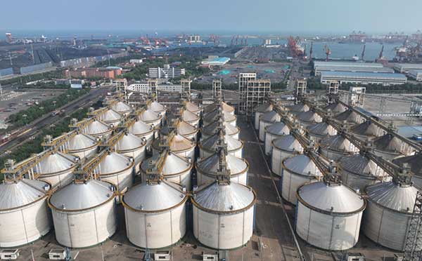 耕好“無形糧田”——從夏糧主產區看“全鏈條節糧減損”路徑 耕好“無形糧田”——從夏糧主產區看“全鏈條節糧減損”路徑