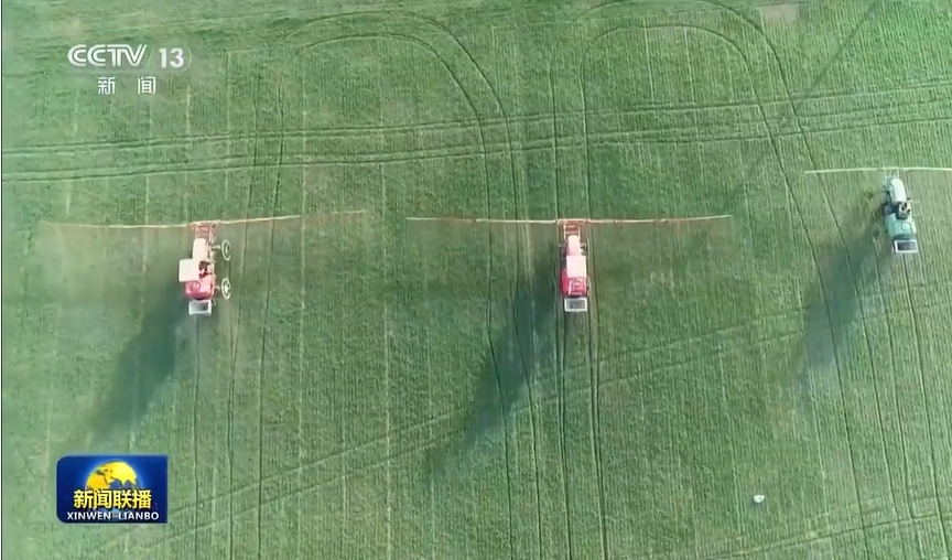 我國確定2024年糧食生產(chǎn)總體目標(biāo) 我國確定2024年糧食生產(chǎn)總體目標(biāo)