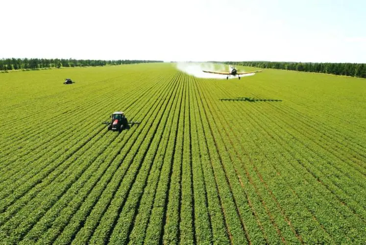 強化科技賦能 各地力促秋糧穩產豐產 強化科技賦能 各地力促秋糧穩產豐產
