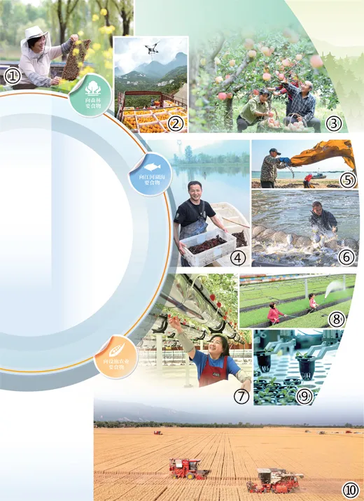 向新 向綠！我國農(nóng)業(yè)綠色發(fā)展水平穩(wěn)步提升